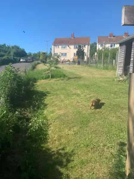 Charming Semi Detached House with Open Fire and Large Garden