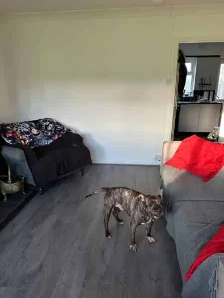 3 Bedroom House Near Hospital and Train Station