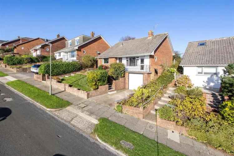 3 Bedroom Detached Bungalow Near South Downs National Park