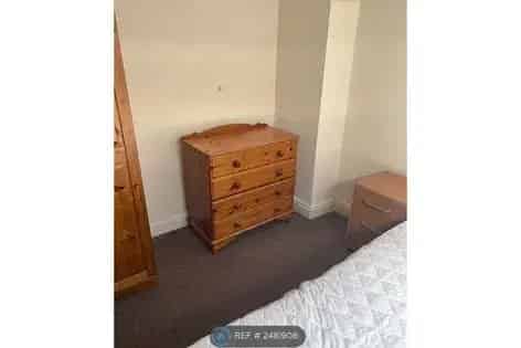 1 Room Attic Flat Sheffield City Centre - Working Professional or Student