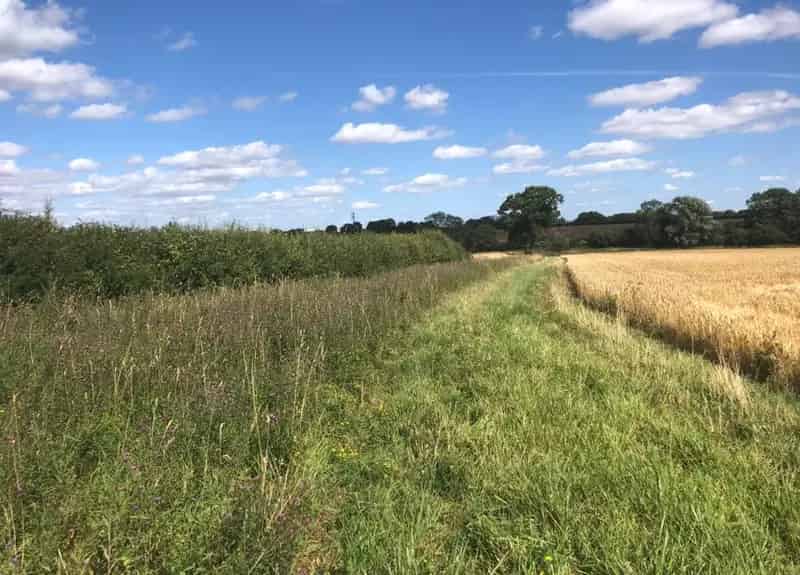 Grafham-Brampton Habitat Site