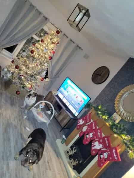 House For Rent , Sandwell, England