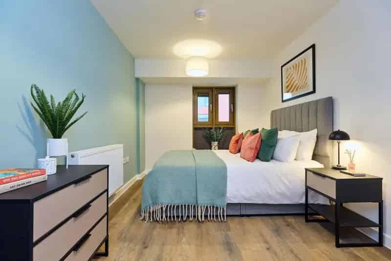 1 Bedroom Apartment Available July 30th