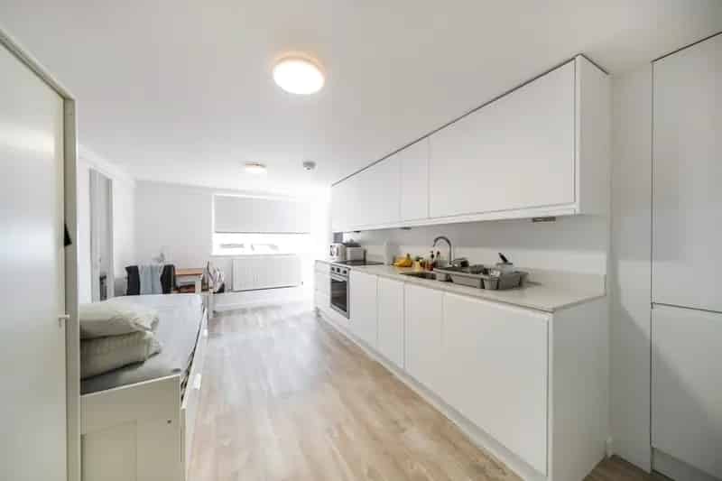 flat to rent