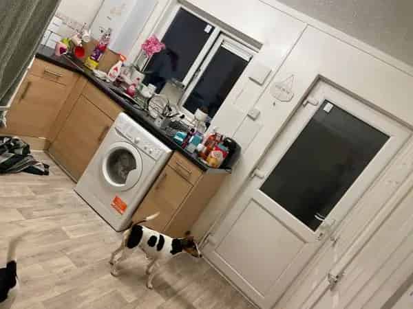 2 Bedroom Flat with Garden and Brick Shed