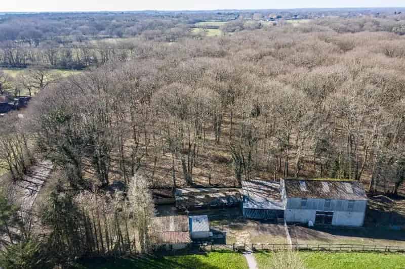 Greenbelt Amenity Woodland Plots 1-3 Acres