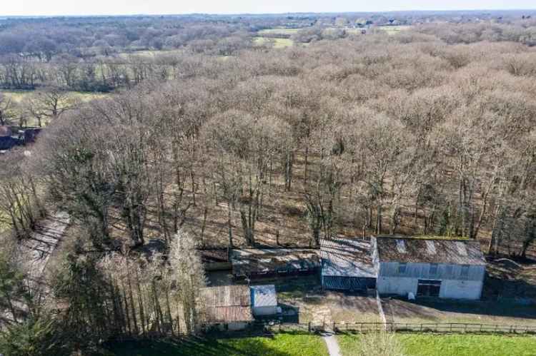 Greenbelt Amenity Woodland Plots 1-3 Acres
