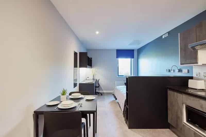 Student Classic Studio Brighton BN1 Alumno Falmer