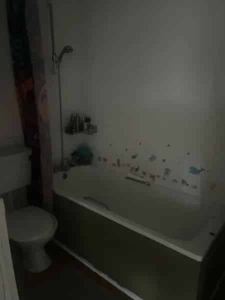 Lovely Flat Large Rooms Bath Shower Big Kitchen Nice Windows
