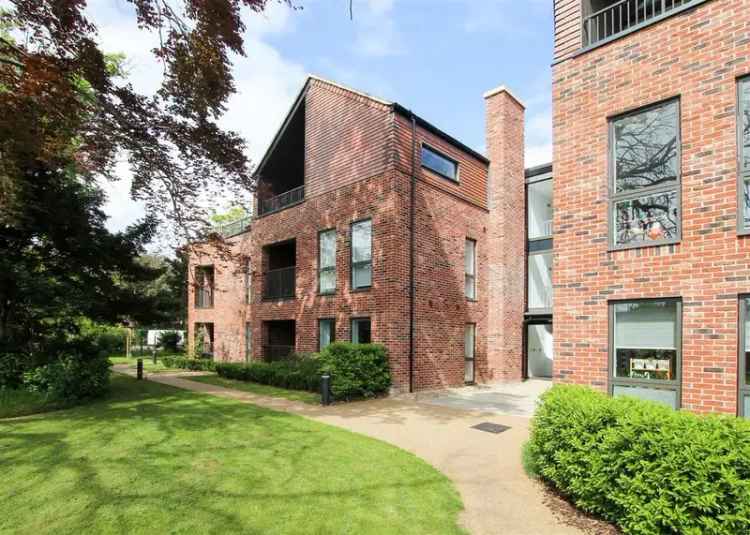Spacious Studio to Rent Near Addenbrooke's