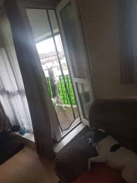 First Floor Flat near Shops and Schools