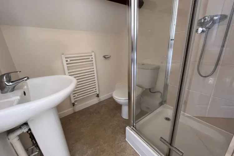 Charming Top Floor Studio Flat for Single Professionals