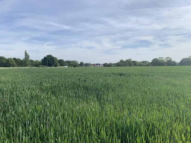 44 Acres of Arable Land for Sale - Excellent Development Potential