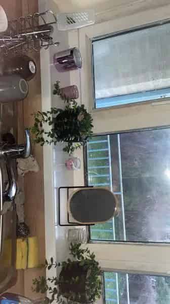 Two-Bedroom Flat Washwood Heath Saltley Newly Renovated