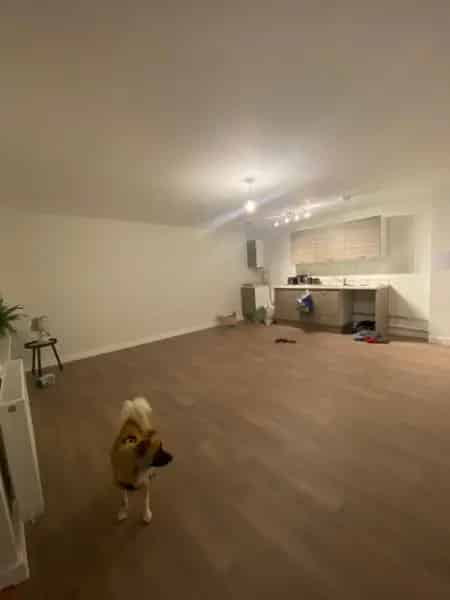 Flat For Rent , Wealden, England