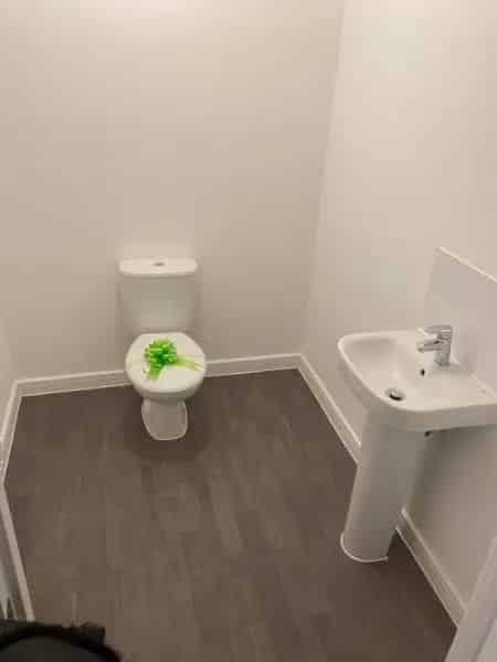 Quiet and Private Home in Small Community