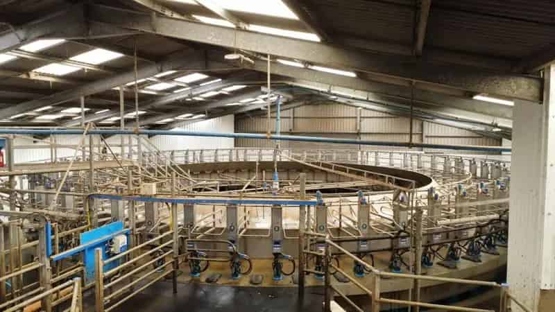 Dairy Farm South West Wales 60 Point Parlour 202 Acres Farmhouse