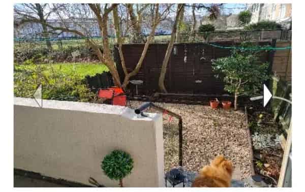 Flat For Rent , South Cambridgeshire, England