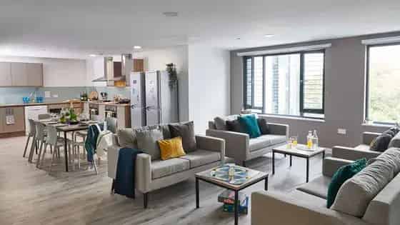 1 Room 57m² Flat Cardiff Student Accommodation