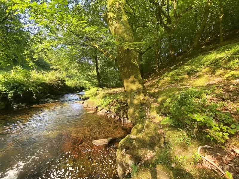 3 Bedroom Character Cottage Exmoor National Park