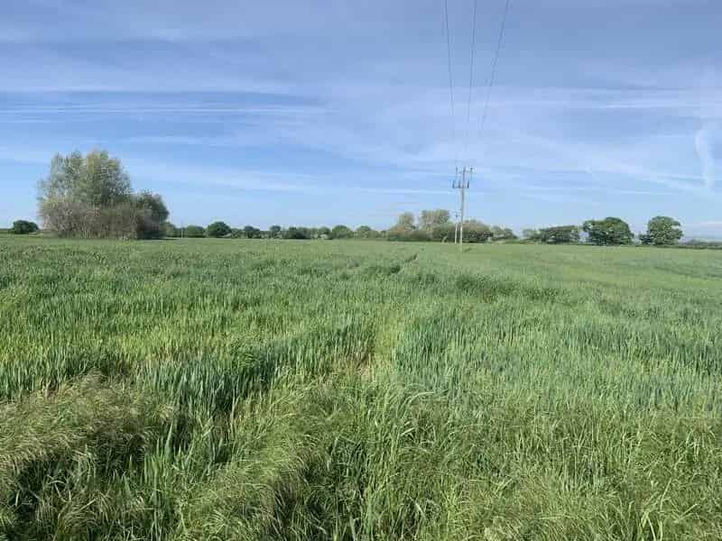44 Acres Arable Land for Sale: Farming Equestrian Development Investment