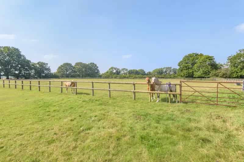 6 Bedroom Detached House with Equestrian Facilities and Indoor Leisure Complex