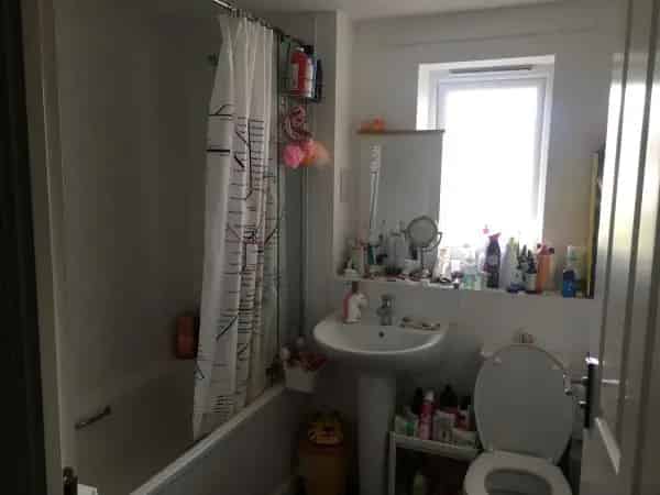 New Build 3 Bed 2 Toilet Property