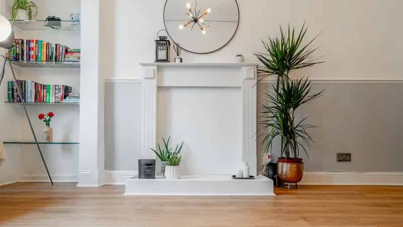 2-Bedroom Apartment in Mount Florida