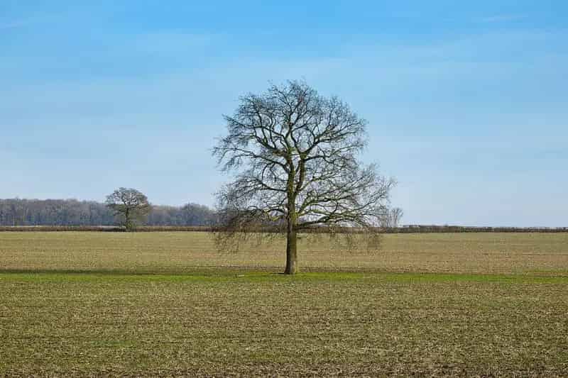 Westley Hall Farm 414.52 Acres Arable Land Agricultural Commercial Buildings Livery Yard