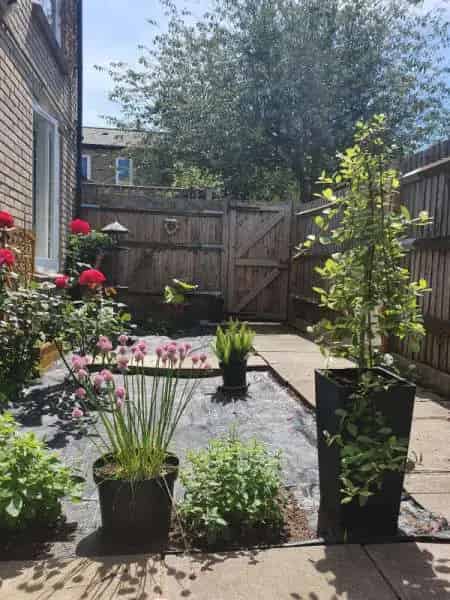 Ground Floor Flat South Facing Garden Disabled Access