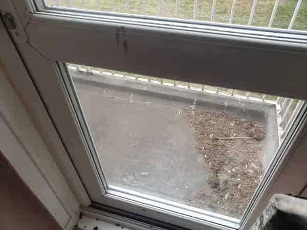 1 Bedroom Flat Swap for Ground Floor Garden Property