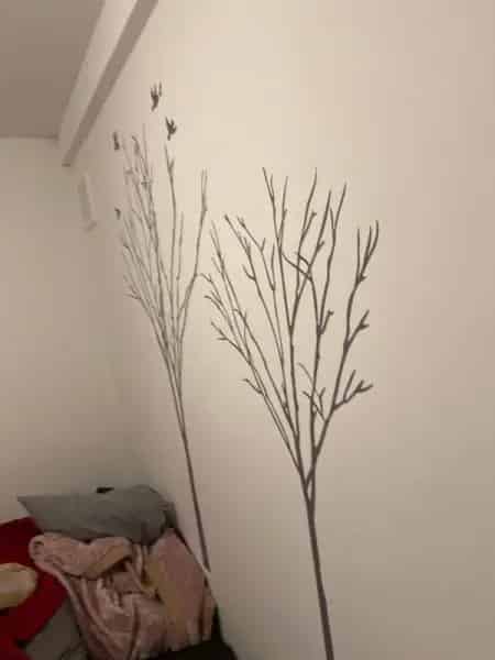One Bedroom Flat Near Westfield London White City