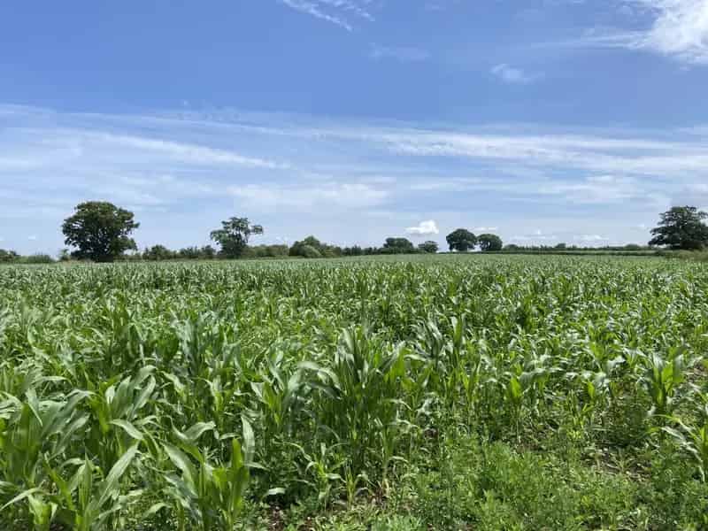 88.10 Acre Arable Land with Planning Consent