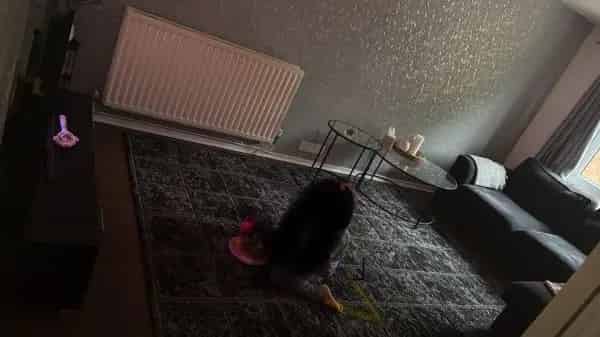 Flat For Rent , Coventry, England