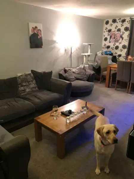 House For Rent in Stevenage, England