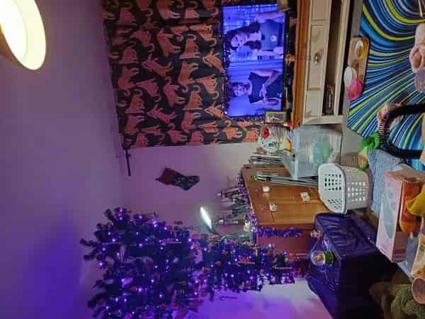 Spacious Flat with Garden Driveway and Storage Pets Allowed
