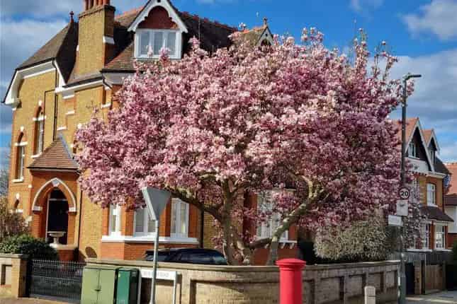 Detached House for Sale in Putney SW15