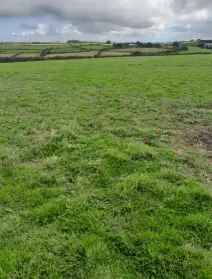2.8 Acre Pasture Land with Field Shelter and Storage Container