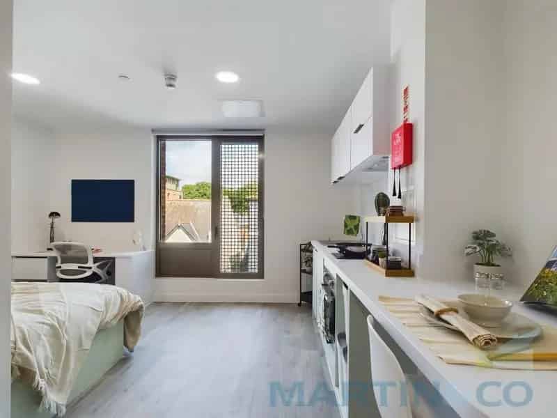 Studio to Rent in Brighton