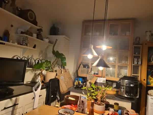 2 Bed Semi-Detached House with Wet Room and Solar Panels