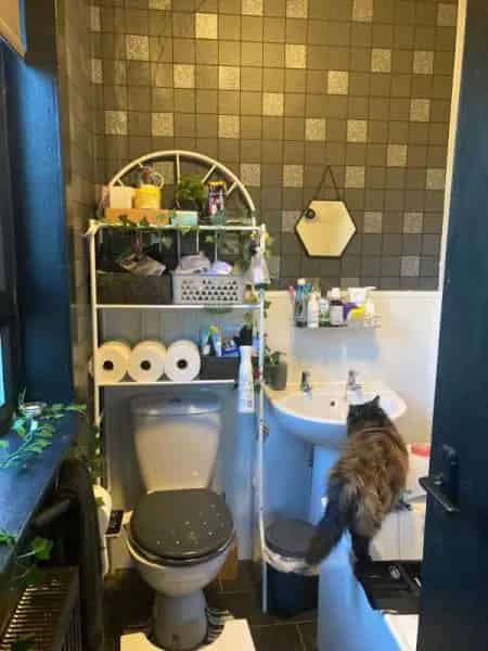 House For Rent , Blantyre, Scotland