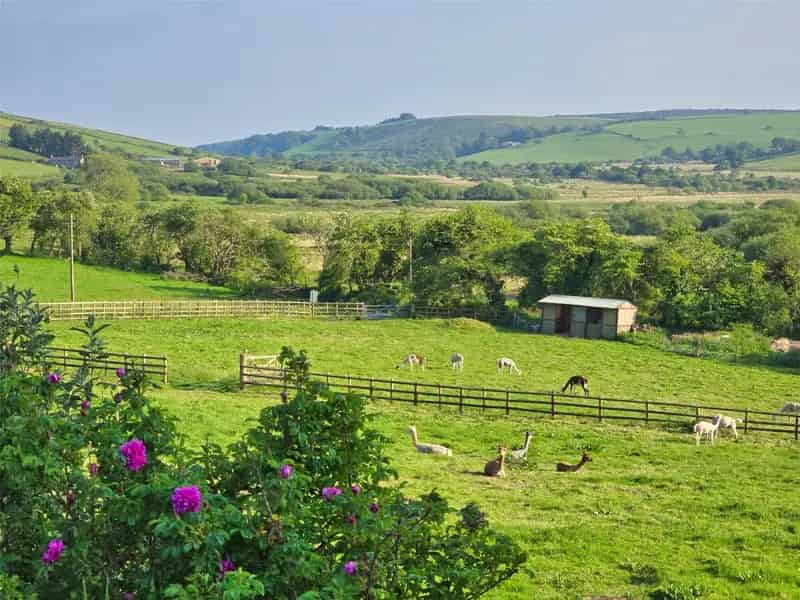 7 Bedroom Farmhouse with Holiday Let Barn and Breathtaking Views