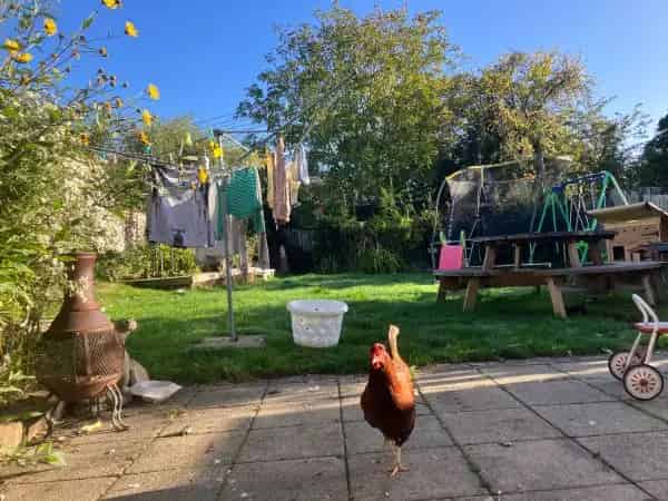 3 Bedroom House in Peaceful Countryside Close to Amenities