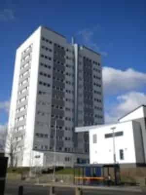 1 Bed Flat for Over 50s Newtown