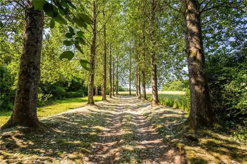 Grade II Listed Home with Indoor Pool and 6 Acres