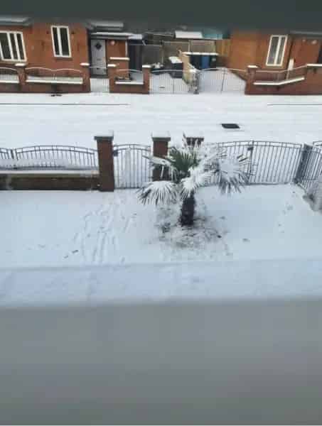 3 Bed House Near Manchester City Centre