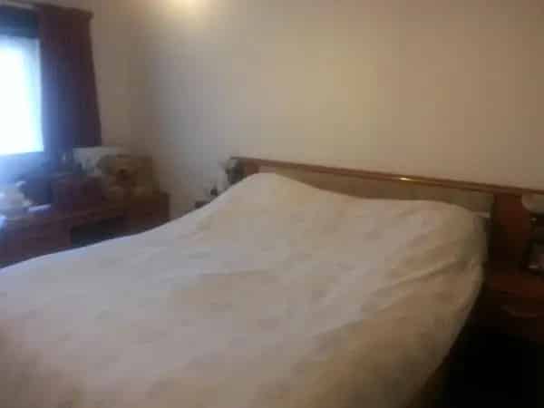 2 Bed Bungalow with Garden Sheds and Greenhouse