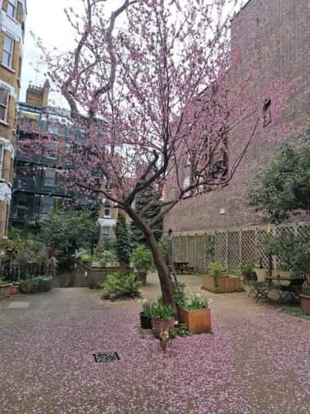 1 Bedroom Flat near Chancery Lane Farringdon Gated Development