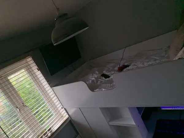 House For Rent in Nuneaton and Bedworth, England