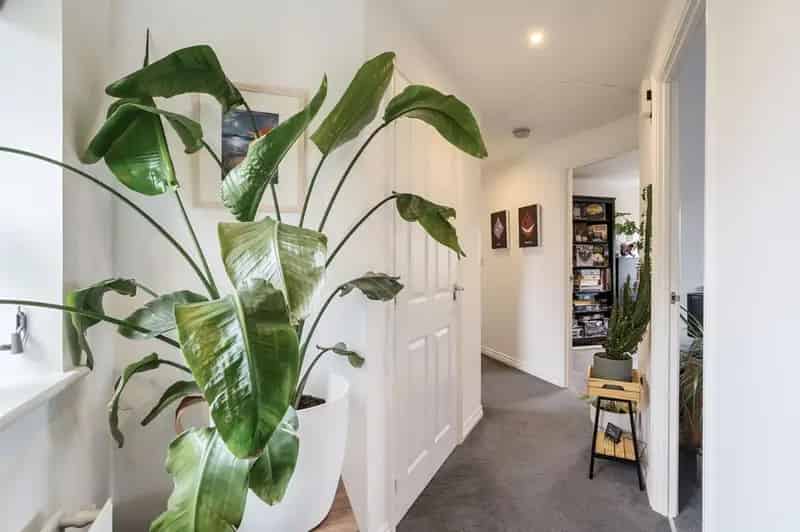 2 Bed Coach House for Sale - En Suite, Open Plan Kitchen